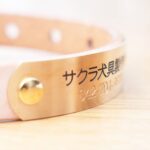 @sakuradogware Instagram campaign image