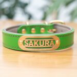 @sakuradogware Instagram campaign image