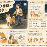 17981126547046375_sakuradogware