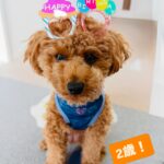 Instagram campaign image