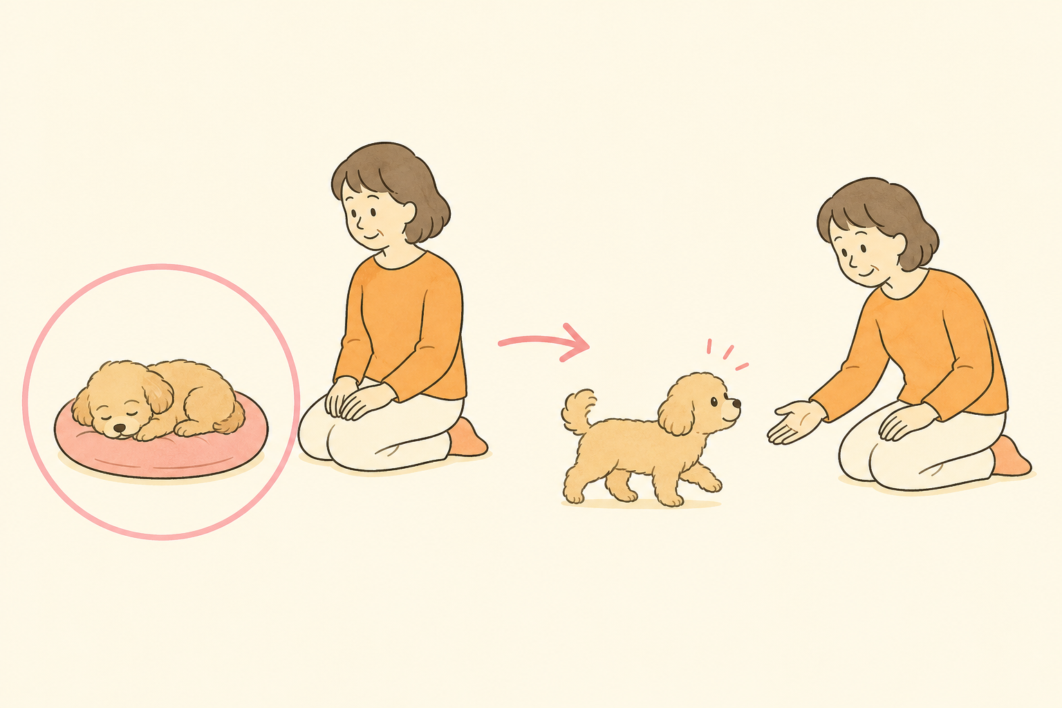 眠る犬を離れて見守り、犬が起きてから飼い主に近づく流れ