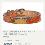 framer-story-N00089-30ac89eb-acc5-40fa-8643-679fd25e8ba4