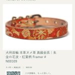 framer-story-N00109-7e0055e5-98c5-4c28-8c30-bdf68d8c80a6