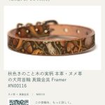 framer-story-N00116-d6fd0341-707b-46aa-96c2-223c7801760a