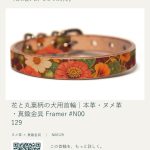 framer-story-N00129-0fa792b8-735f-4236-8128-34bfc5134b09